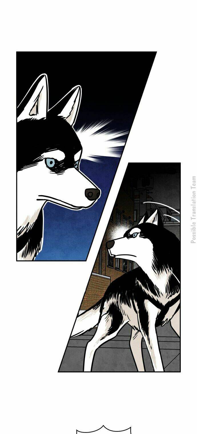 Tai Sói Và Mũ Đỏ: Chapter 28