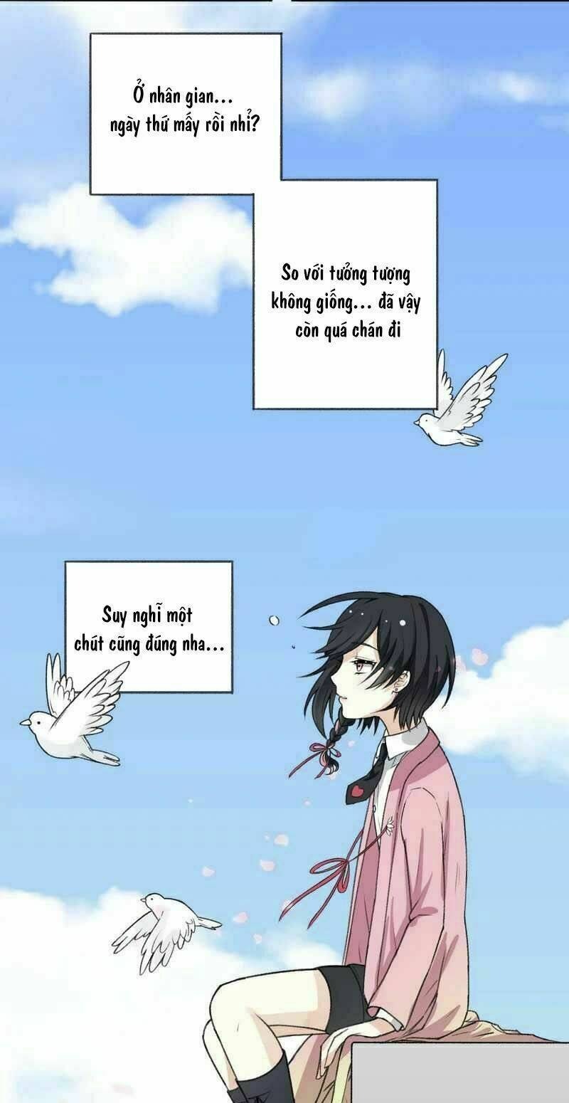 Ái Thần Thượng Môn: Chapter 3