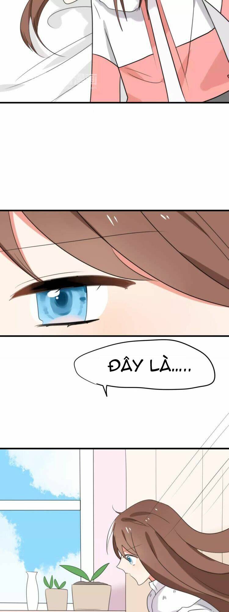 Tiểu Miêu Và Hắc Diệu Thạch: Chapter 32