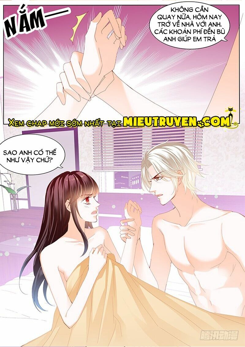 Thiểm Hôn Kiều Thê: Chapter 206