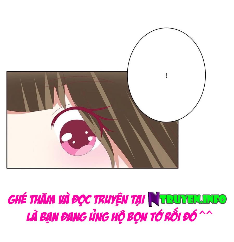 Thông Linh Phi: Chapter 604