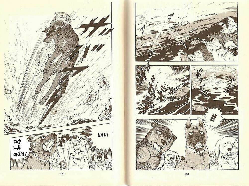 Chú Chó Có Nghĩa - Ginga Nagareboshi Gin: Chapter 12