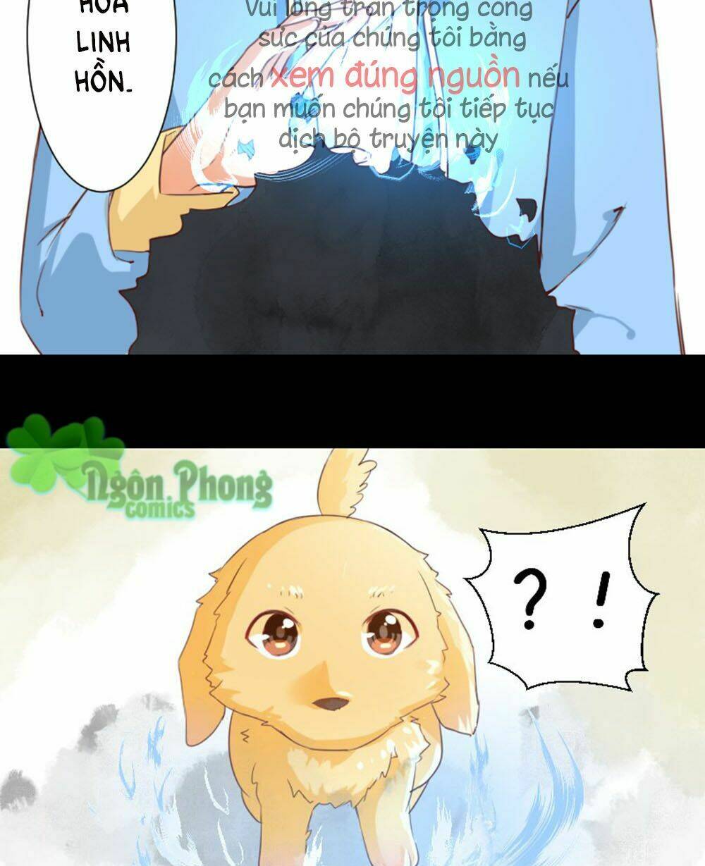 Mạc Duyên Thư Văn: Chapter 11