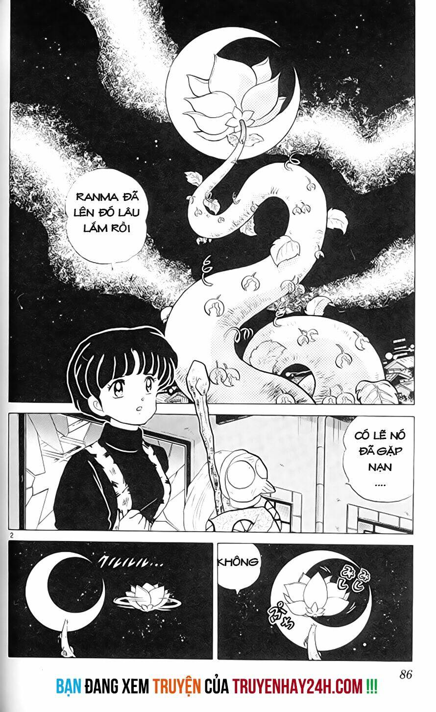 Suối Lời Nguyền: Chapter 306