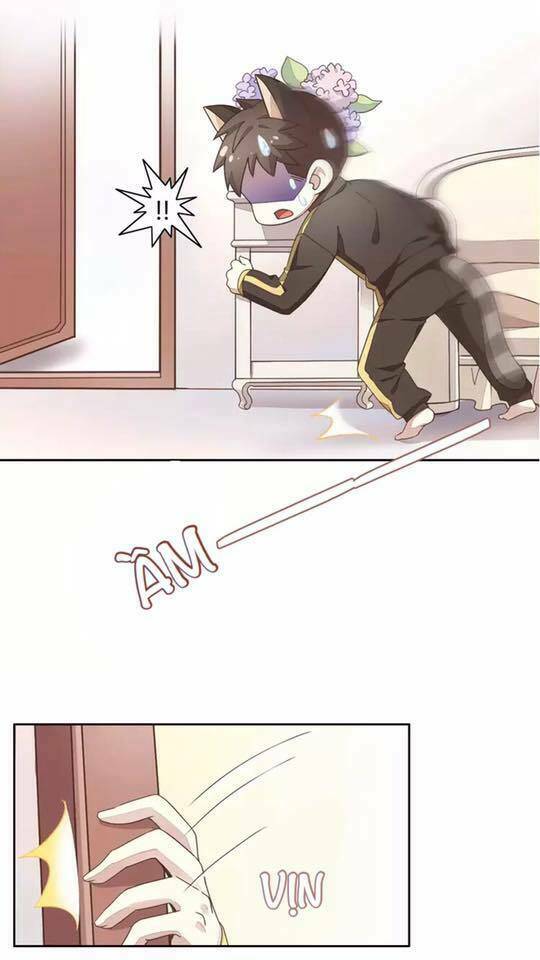 Dưới Móng Vuốt Mèo: Chapter 19
