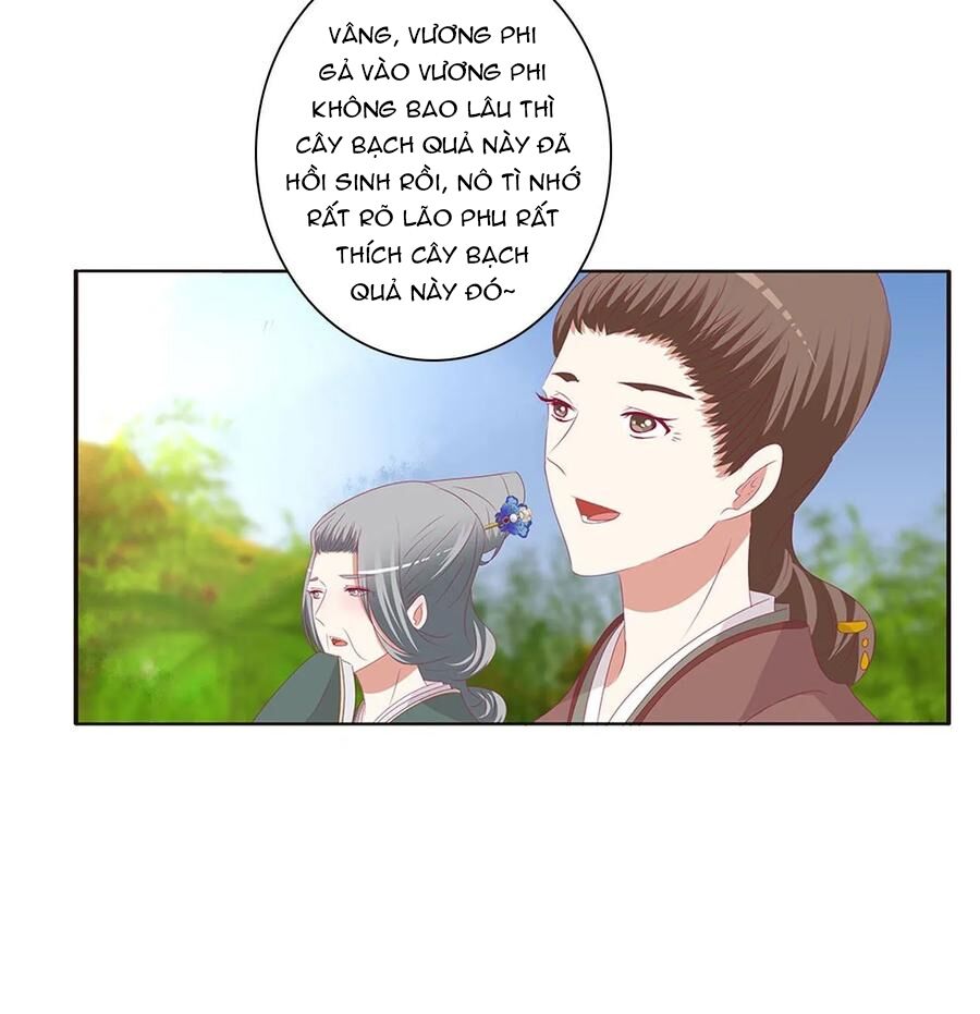 Thông Linh Phi: Chapter 601