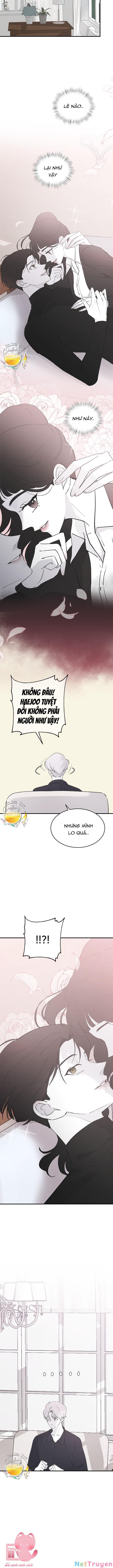 Ba Người Anh Trai Của Tôi Là Bạo Quân: Chapter 52