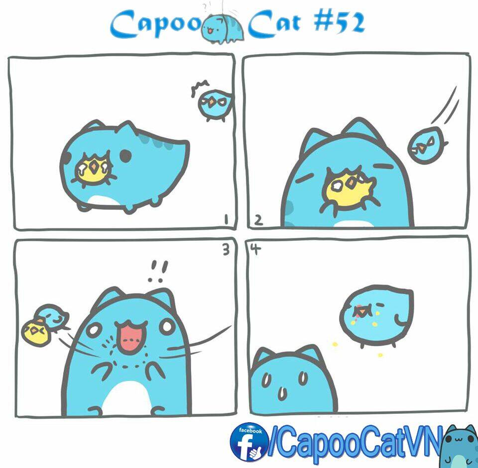 Capoo Cat: Chapter 6