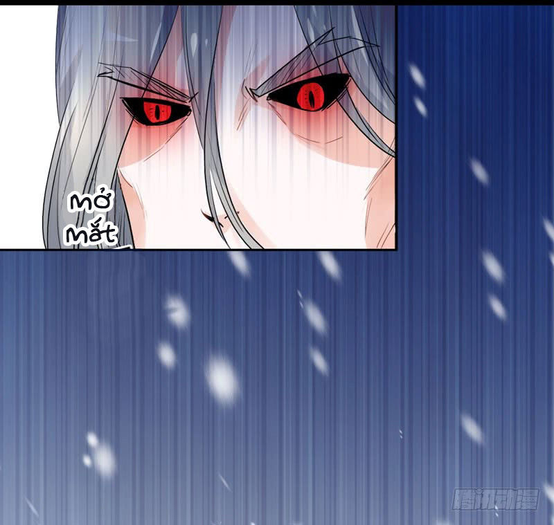 Lụ Đạn, Hôm Nay Lại Cũng Không Thể Biến Thành Người Được: Chapter 1