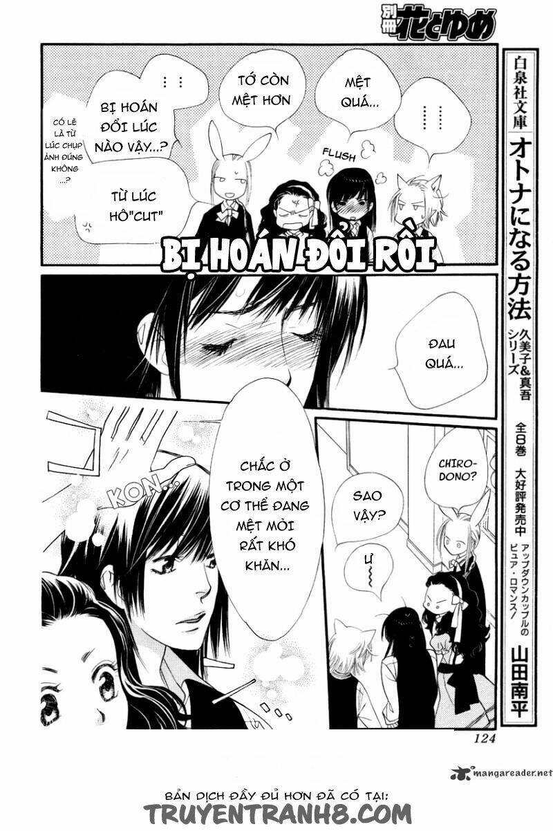 Orange Chocolate: Chapter 20