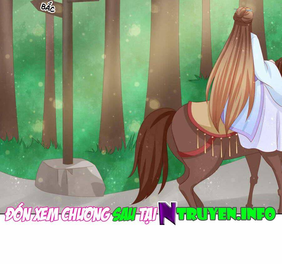 Nam Phi Nữ Tướng: Chapter 19