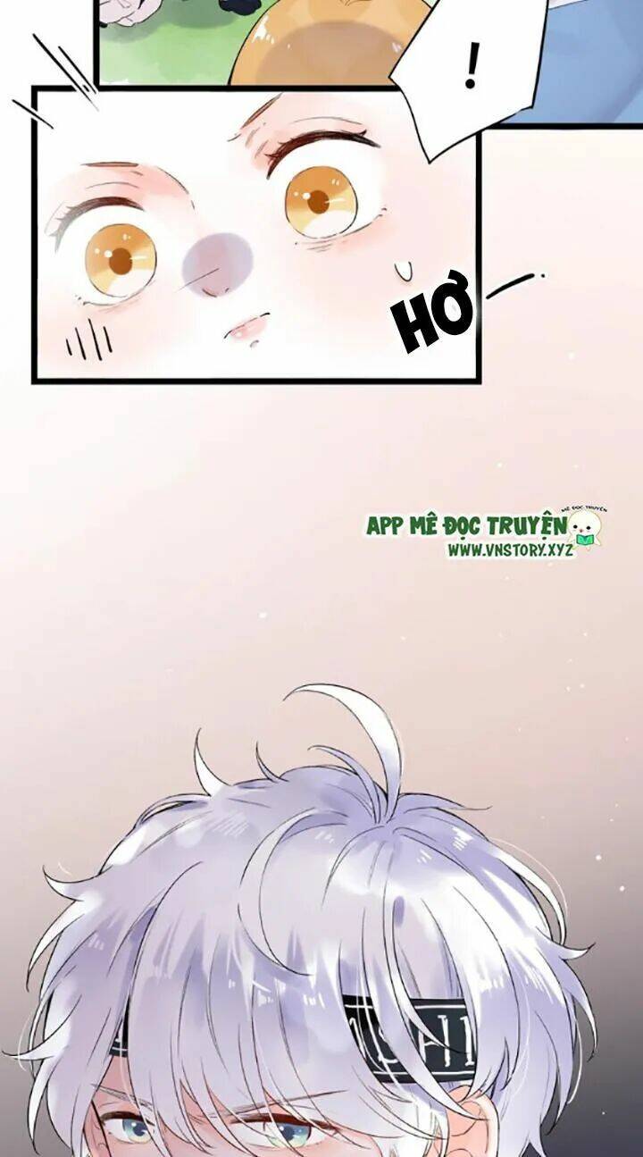 Trạch Thượng Tịch Mịch Huỳnh Hỏa: Chapter 44