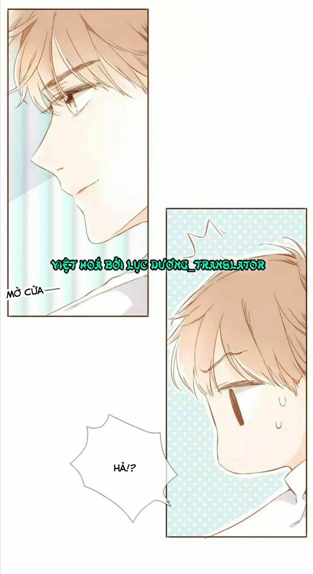 Tình Yêu Là Màu Hoa Anh Thảo: Chapter 29.2