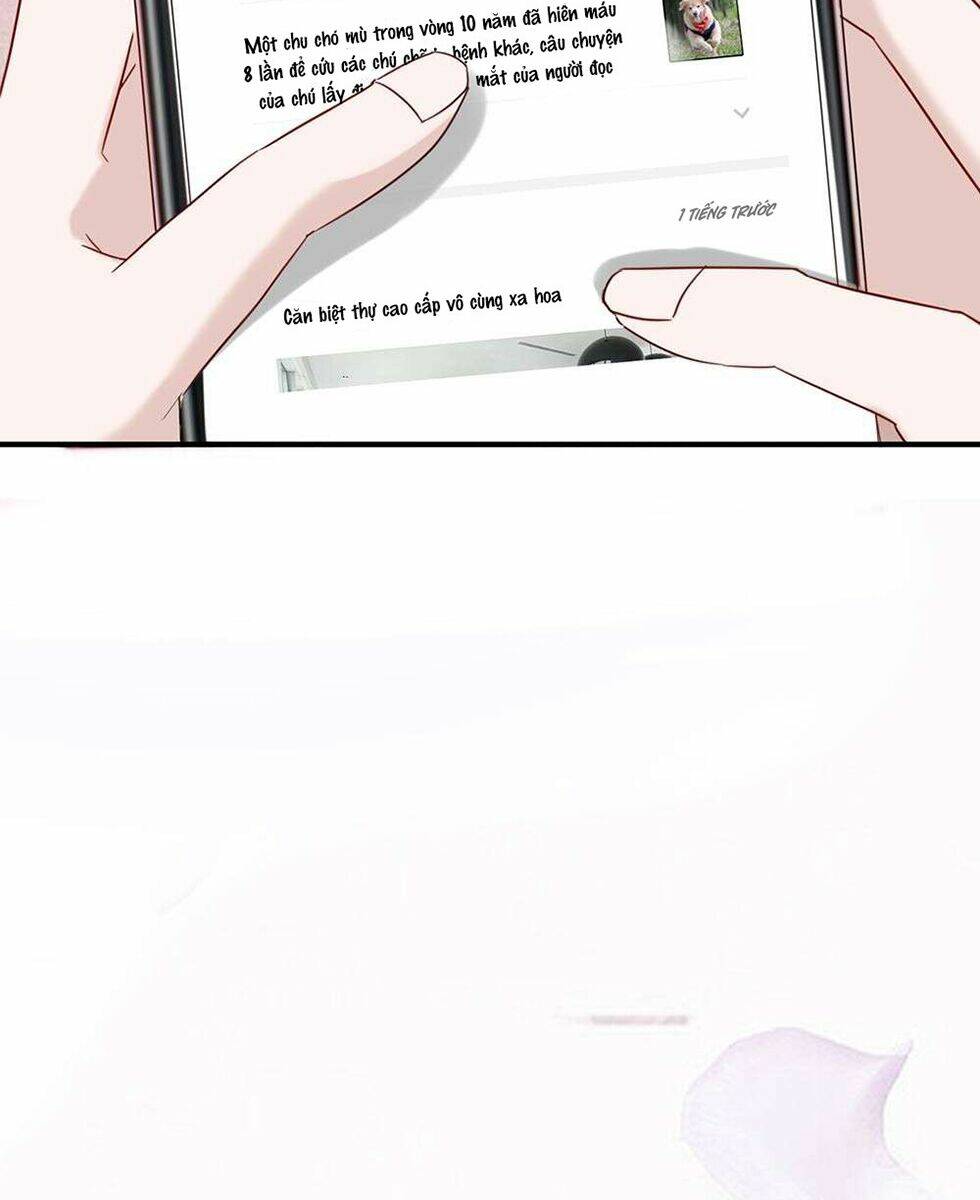 Manh Thê Khó Dỗ: Chapter 48