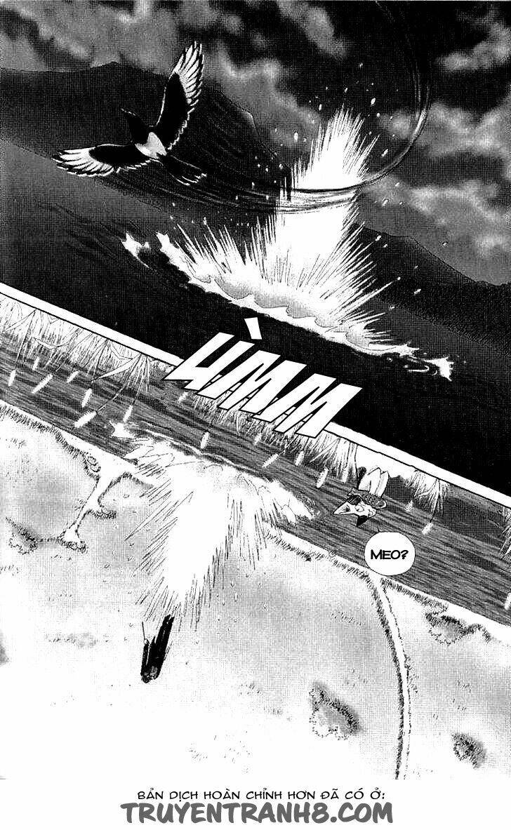 Lời Thì Thầm Từ Trái Tim: Chapter 8
