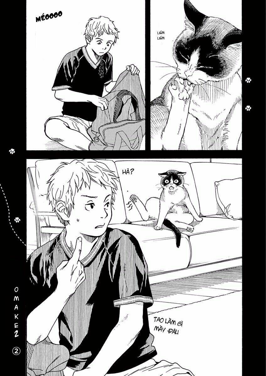Neko No Otera No Chion-San: Chapter 15