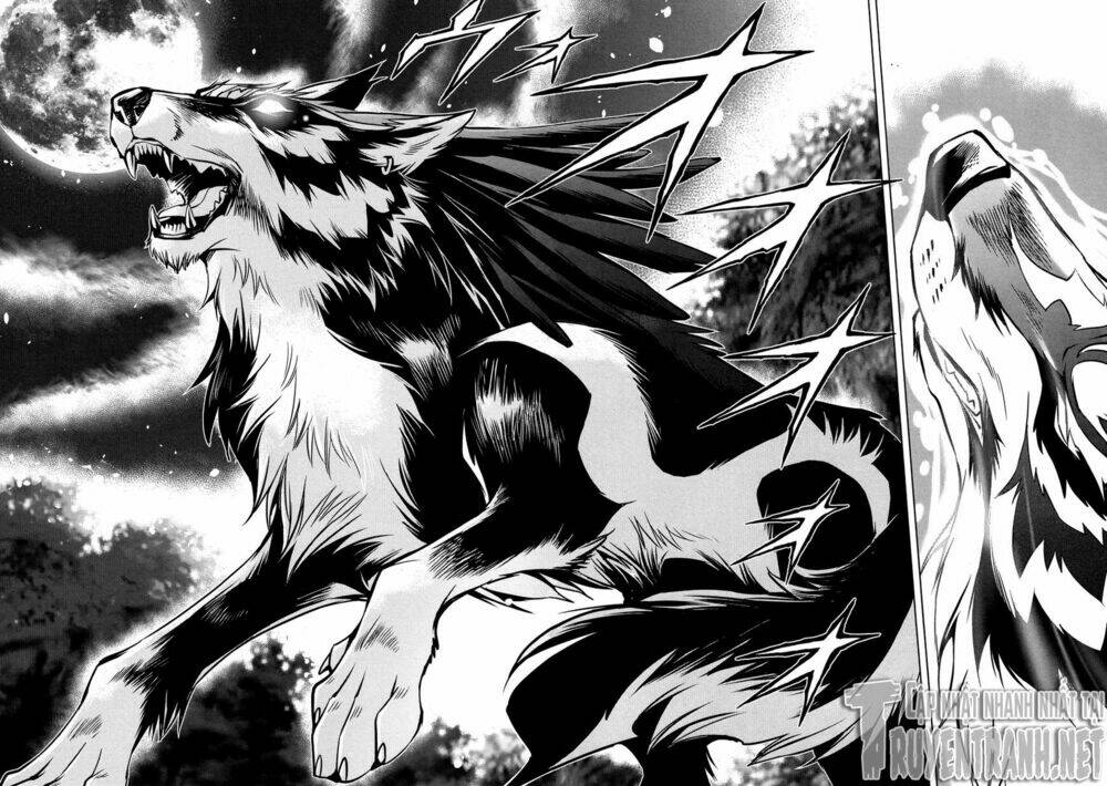 Zelda No Densetsu - Twilight Princess: Chapter 8