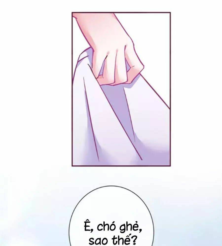 Đừng Nghịch, Ta Chỉ Muốn Yên Tĩnh: Chapter 56