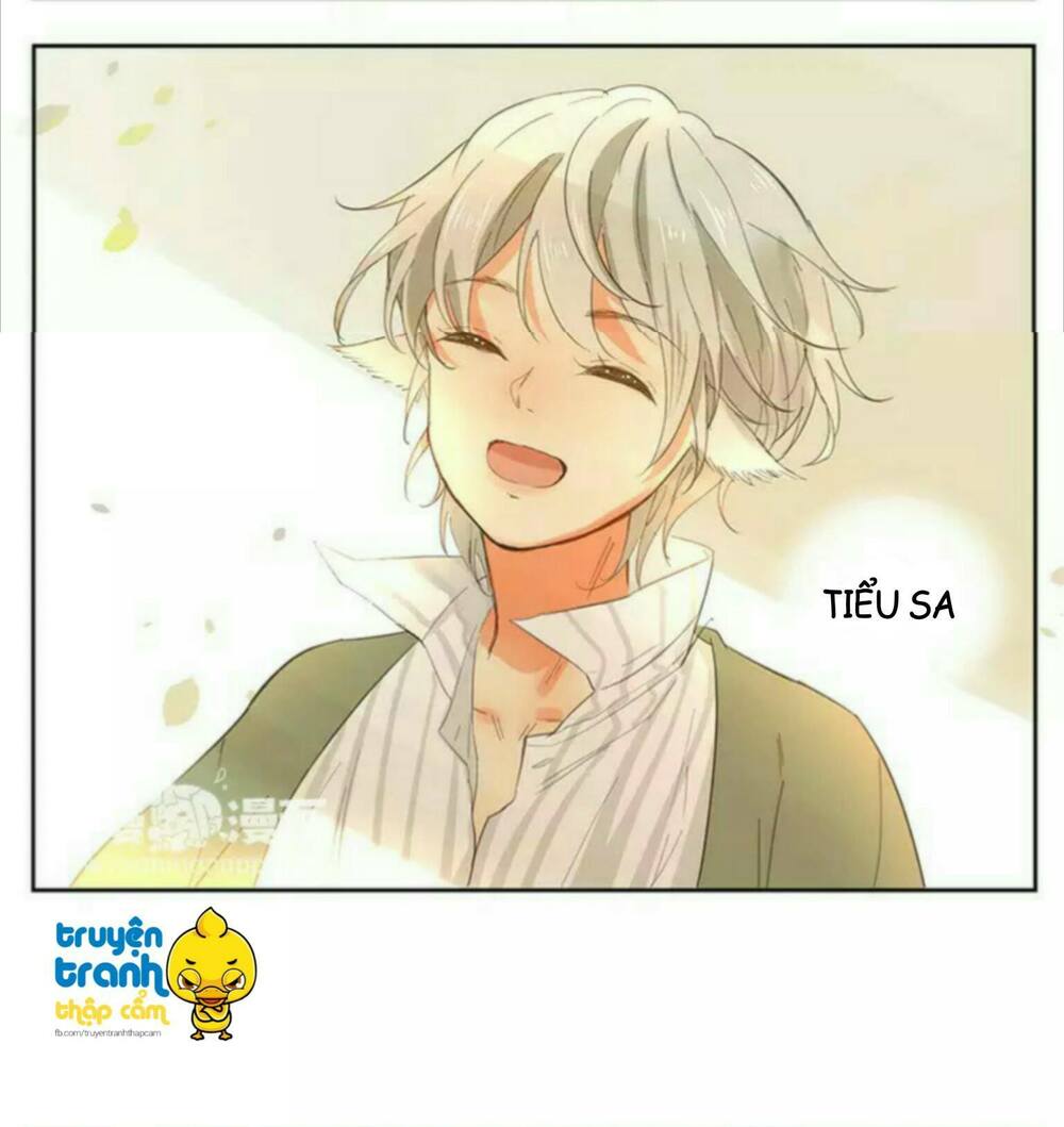 Cứu mạng ! Loài mèo thống trị thế giới rồi !: Chapter 39