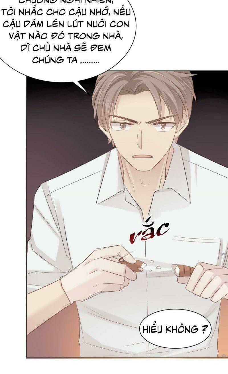 Điều Giáo Gấu Bắc Cực: Chapter 22