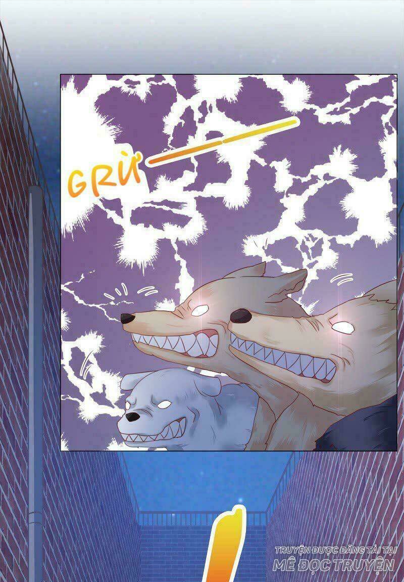 Băng Sơn Học Trưởng Không Được Chọc: Chapter 15