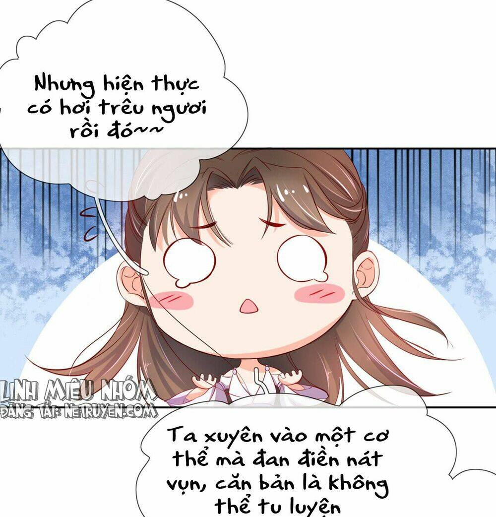 Vương Phi Tu Tiên: Đối Kháng Ma Vương: Chapter 3