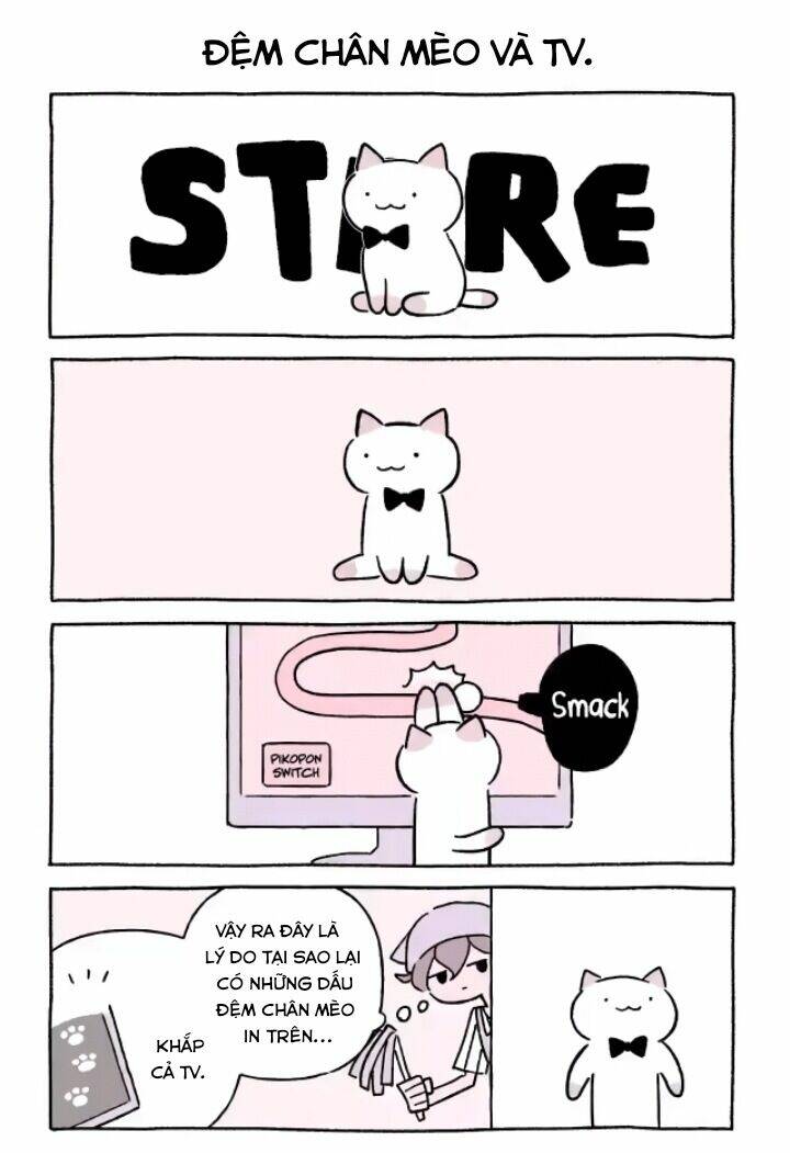 Chú Mèo Kỳ Diệu Kyuu-Chan: Chapter 646