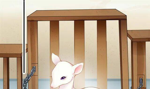 Tuyệt Thế Luyện Đan Sư: Chapter 10