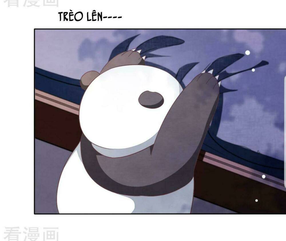 Xuyên Về Cổ Đại Làm Quốc Bảo: Chapter 12
