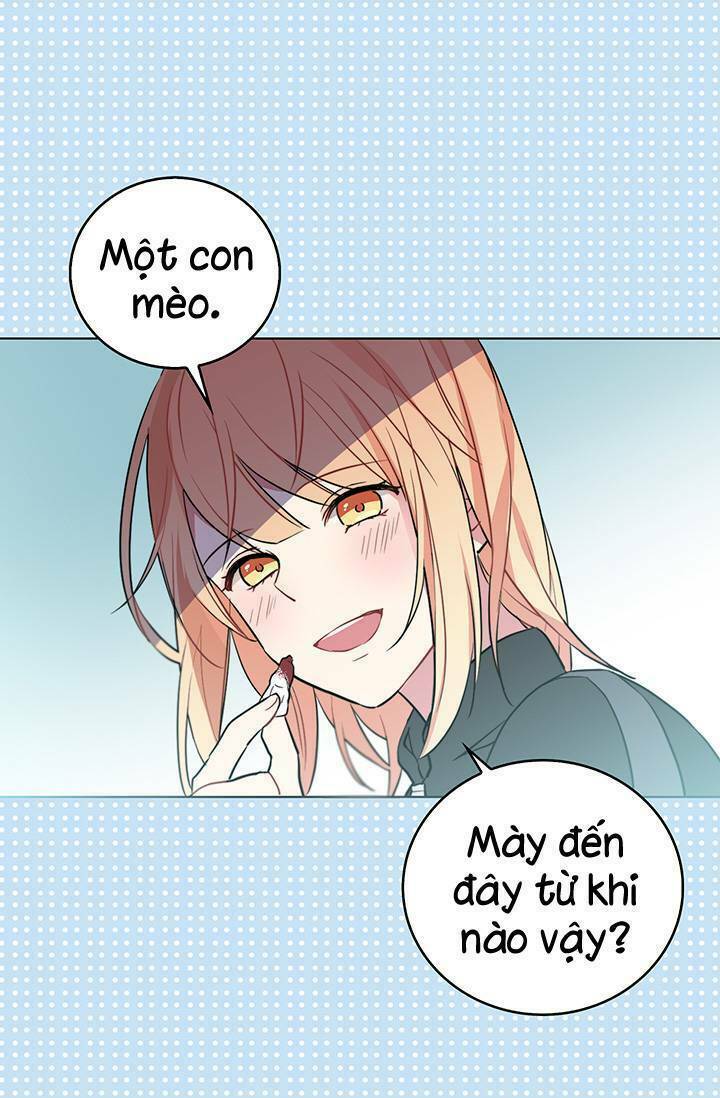 Cô Dâu Của Miêu Hoàng Tử: Chapter 3