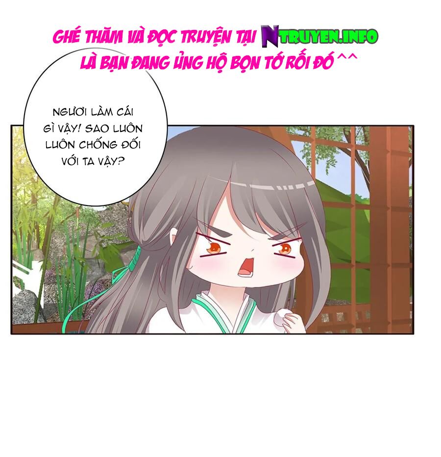 Thông Linh Phi: Chapter 584