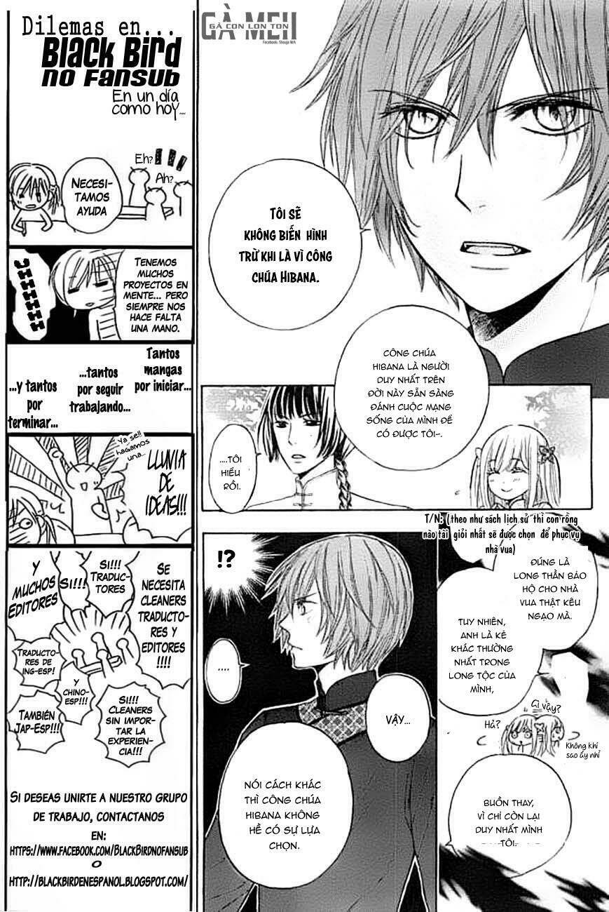 Strange Dragon: Chapter 4