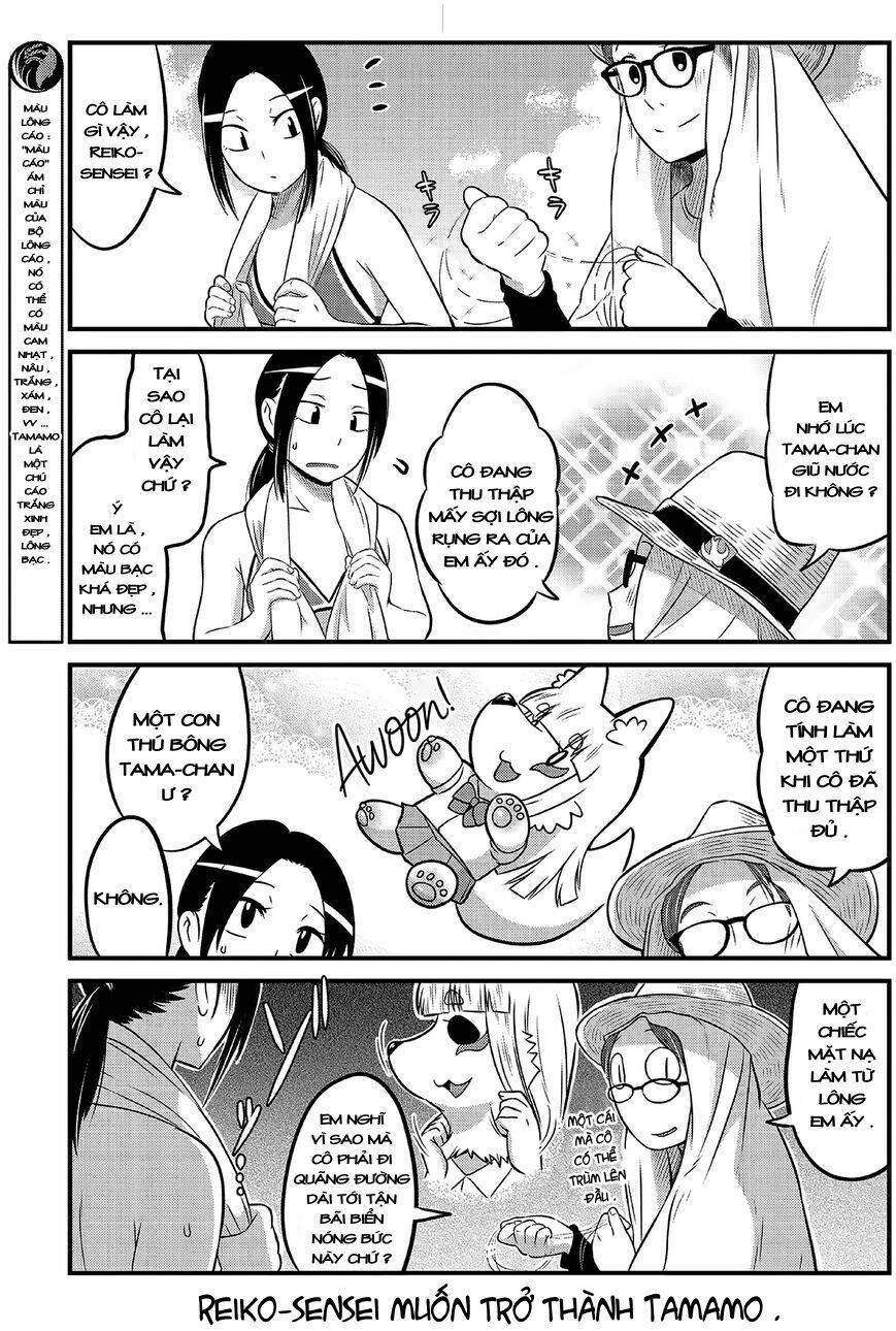 High School Inari Tamamo-Chan: Chapter 14