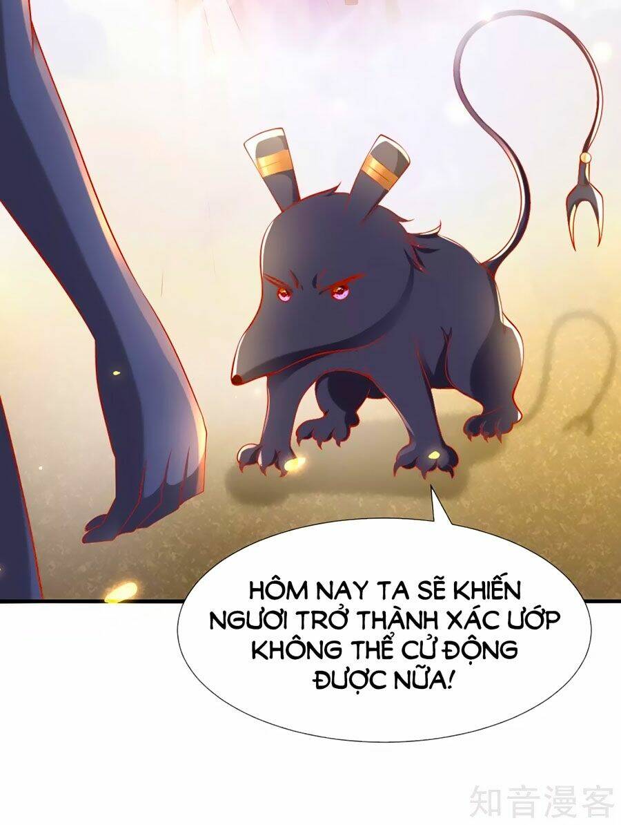 Sủng Hậu Của Vương: Chapter 43