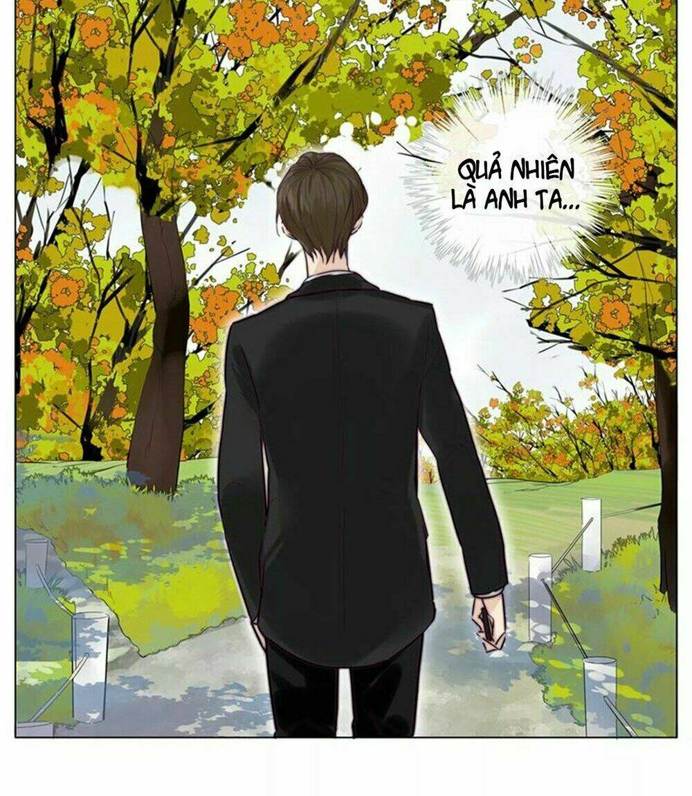 Tình Yêu Chớp Nhoáng: Chapter 41