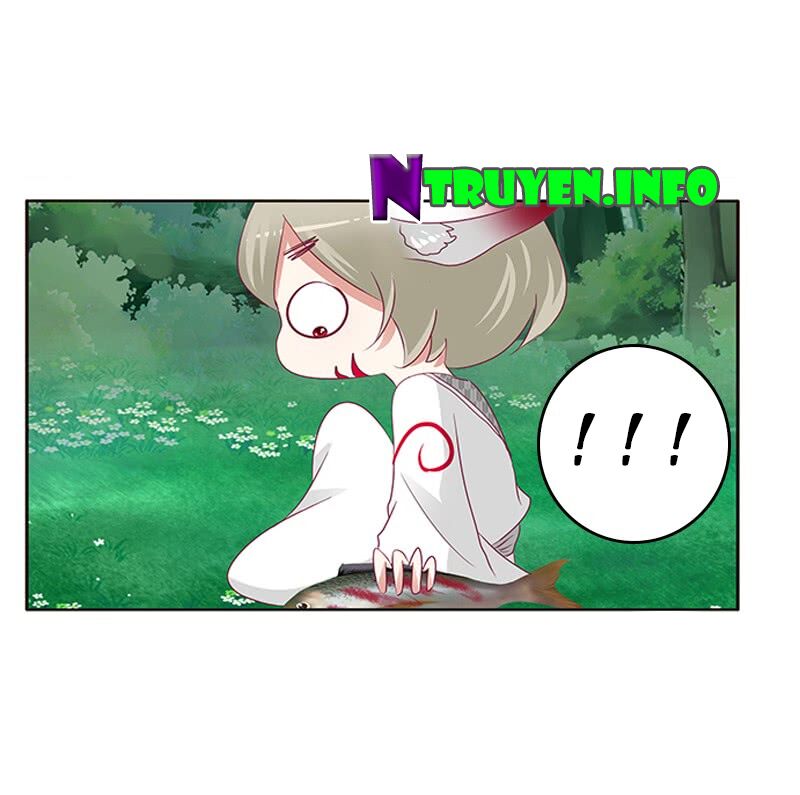 Thông Linh Phi: Chapter 315