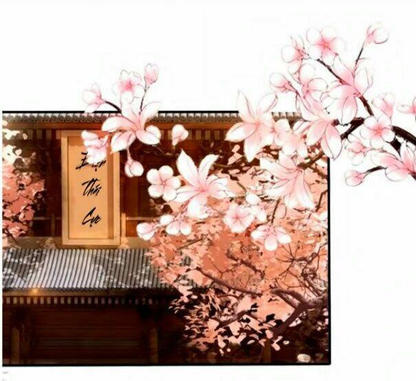 Trọng Sinh Bá Sủng Nhiếp Chính Vương Quá Mạnh Mẽ: Chapter 15