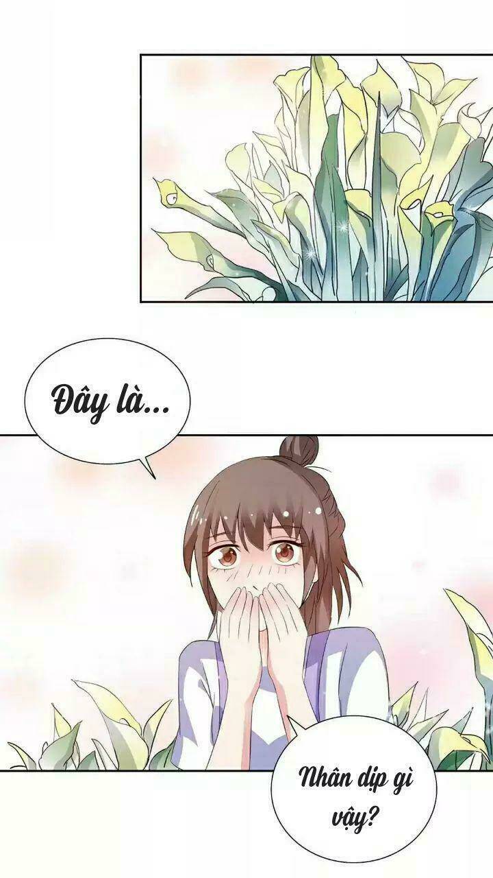 1 Nửa Hoàn Hảo Của Ceo: Chapter 49