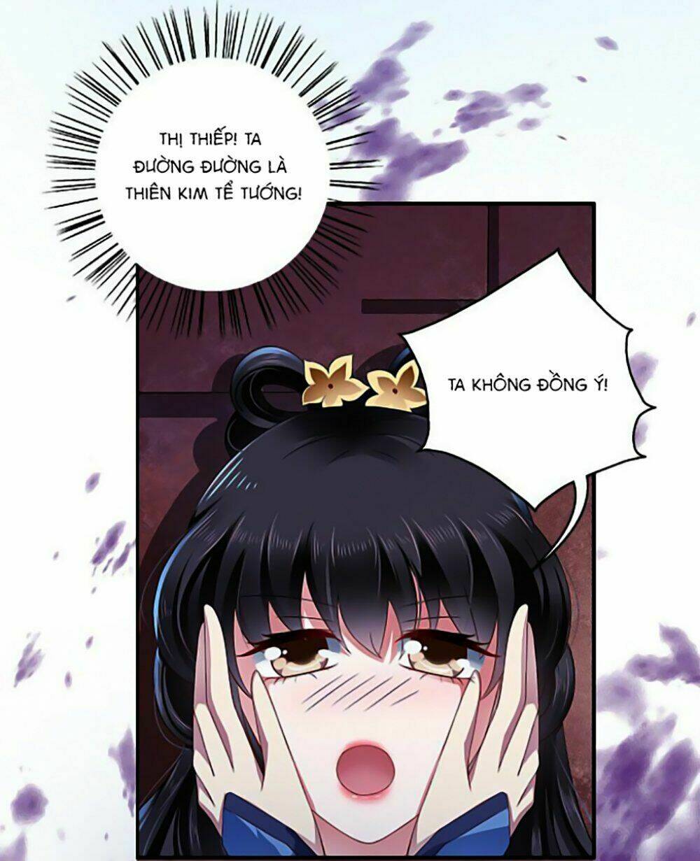 Thịnh Thế An Nhiên: Chapter 5