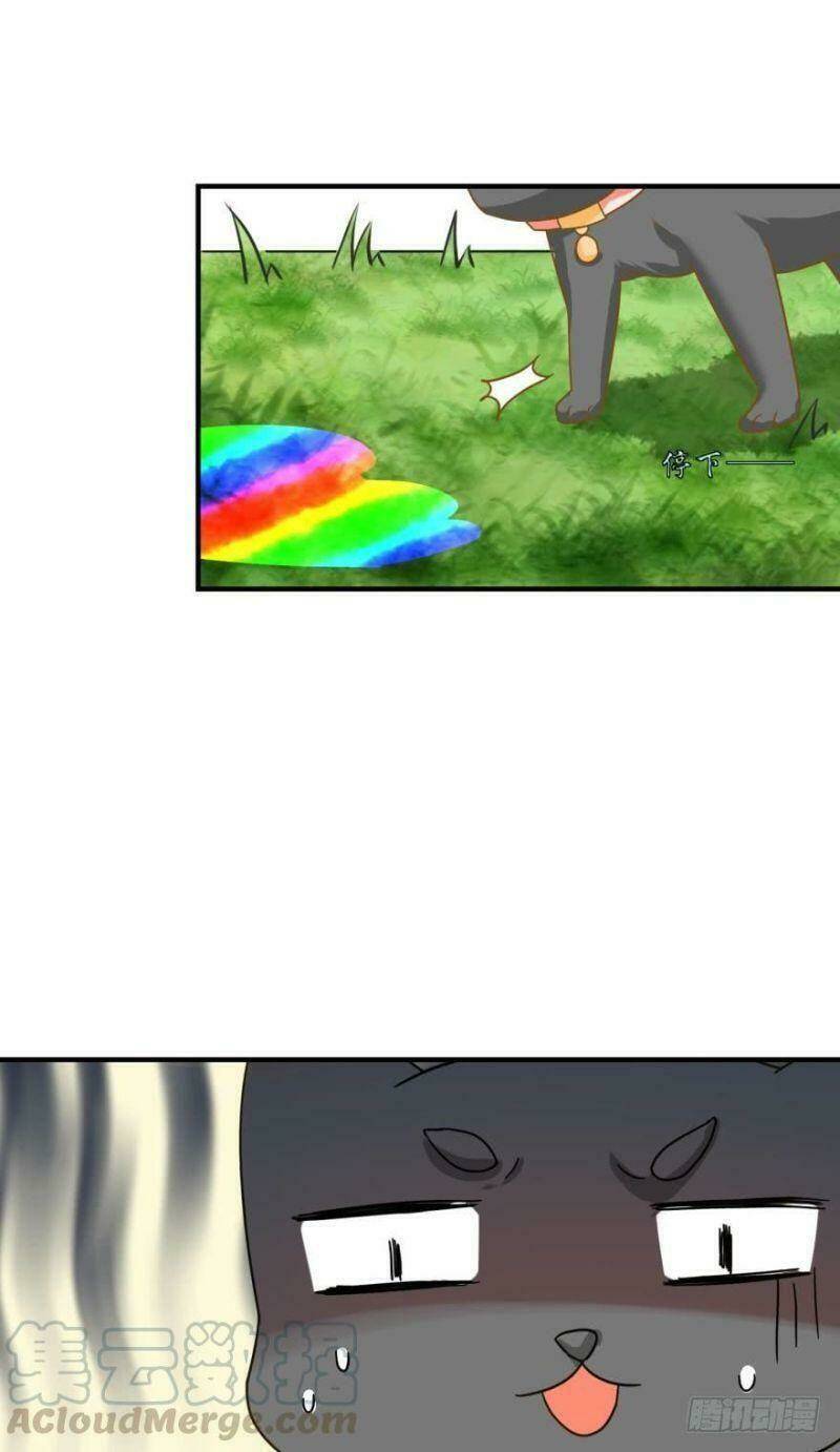 Nhân Ngư Học Trưởng, Đừng Ôm Ta!: Chapter 63