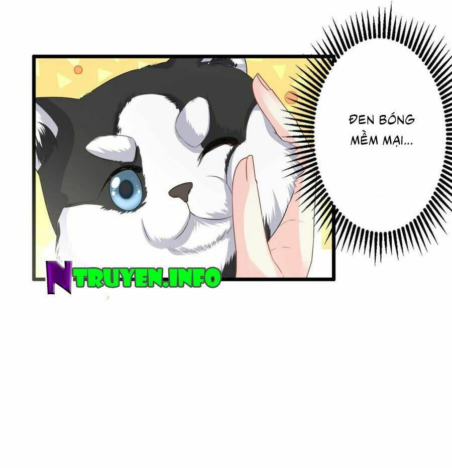 Tư Sủng Cục Cưng Bảo Bối: Chapter 28