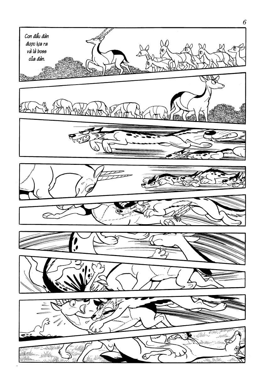 Chim Lửa: Chapter 77