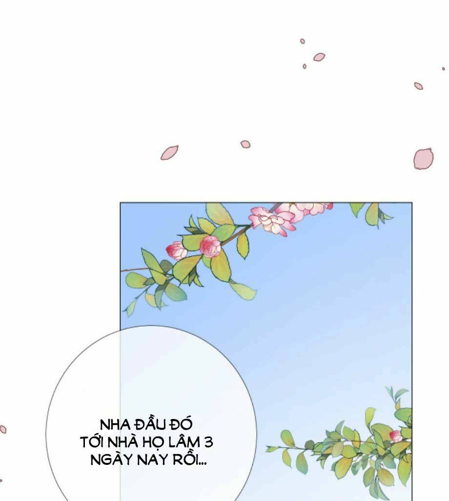 Sao Lại Là Yêu?: Chapter 24