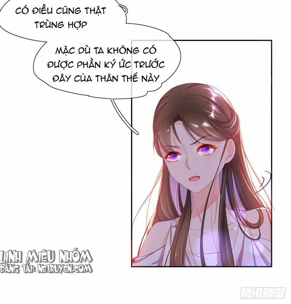 Vương Phi Tu Tiên: Đối Kháng Ma Vương: Chapter 3