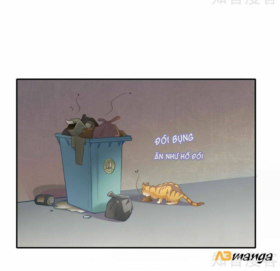 Hẹn Hò Siêu Tốc: Chapter 1