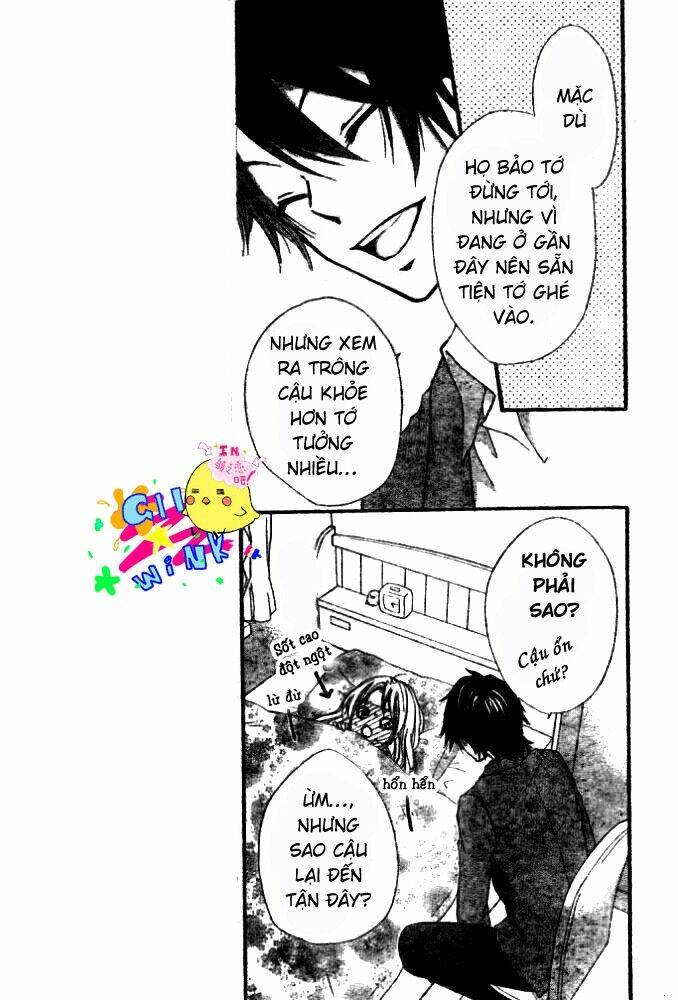 Tình Yêu Của Hiyo: Chapter 5