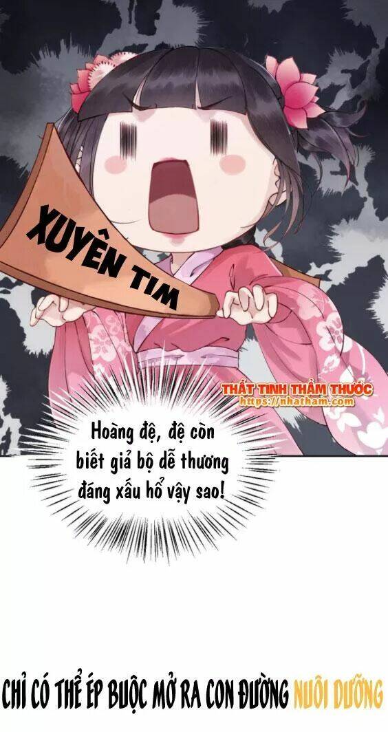 Trọng Sinh Bá Sủng Nhiếp Chính Vương Quá Mạnh Mẽ: Chapter 0