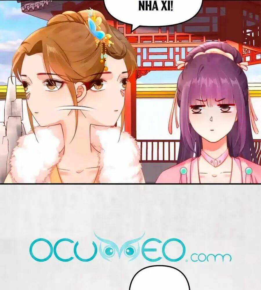 Hoạn Phi Hoàn Triều: Chapter 46