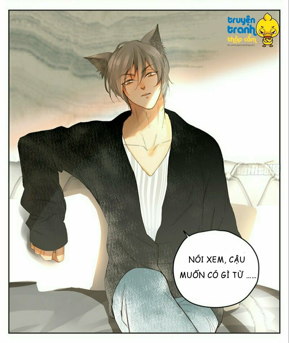 Cứu mạng ! Loài mèo thống trị thế giới rồi !: Chapter 32