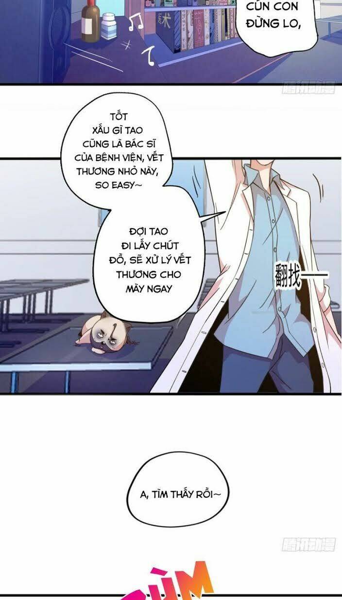 Mở Phòng Khám Tu Tiên: Chapter 2